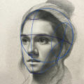 Drawing the Structure and Anatomy of the Head